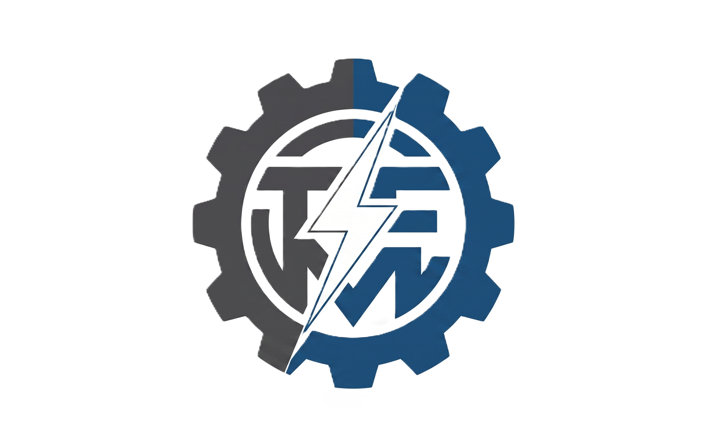 TEM Group Logo